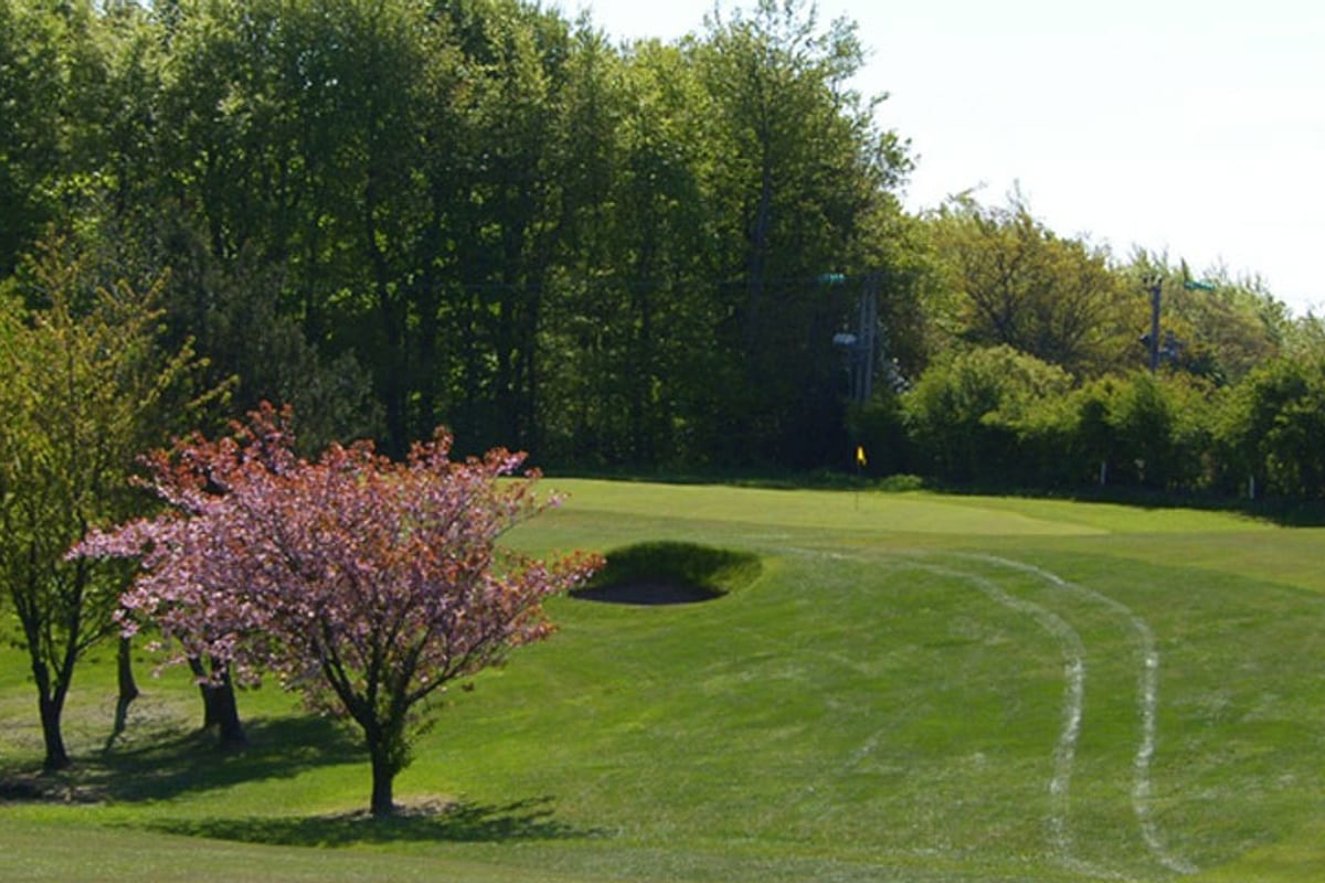Woodland hole